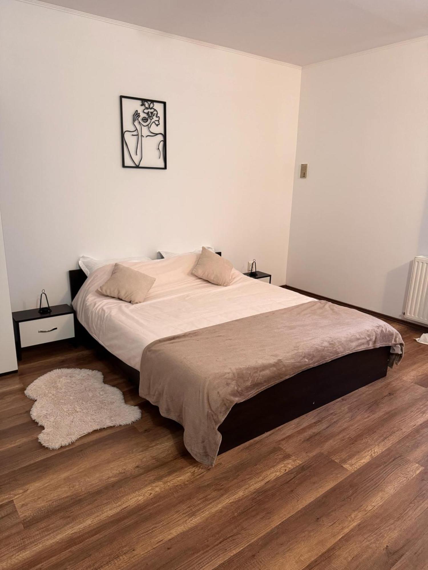 브라쇼브 Madalina'S House 아파트 외부 사진