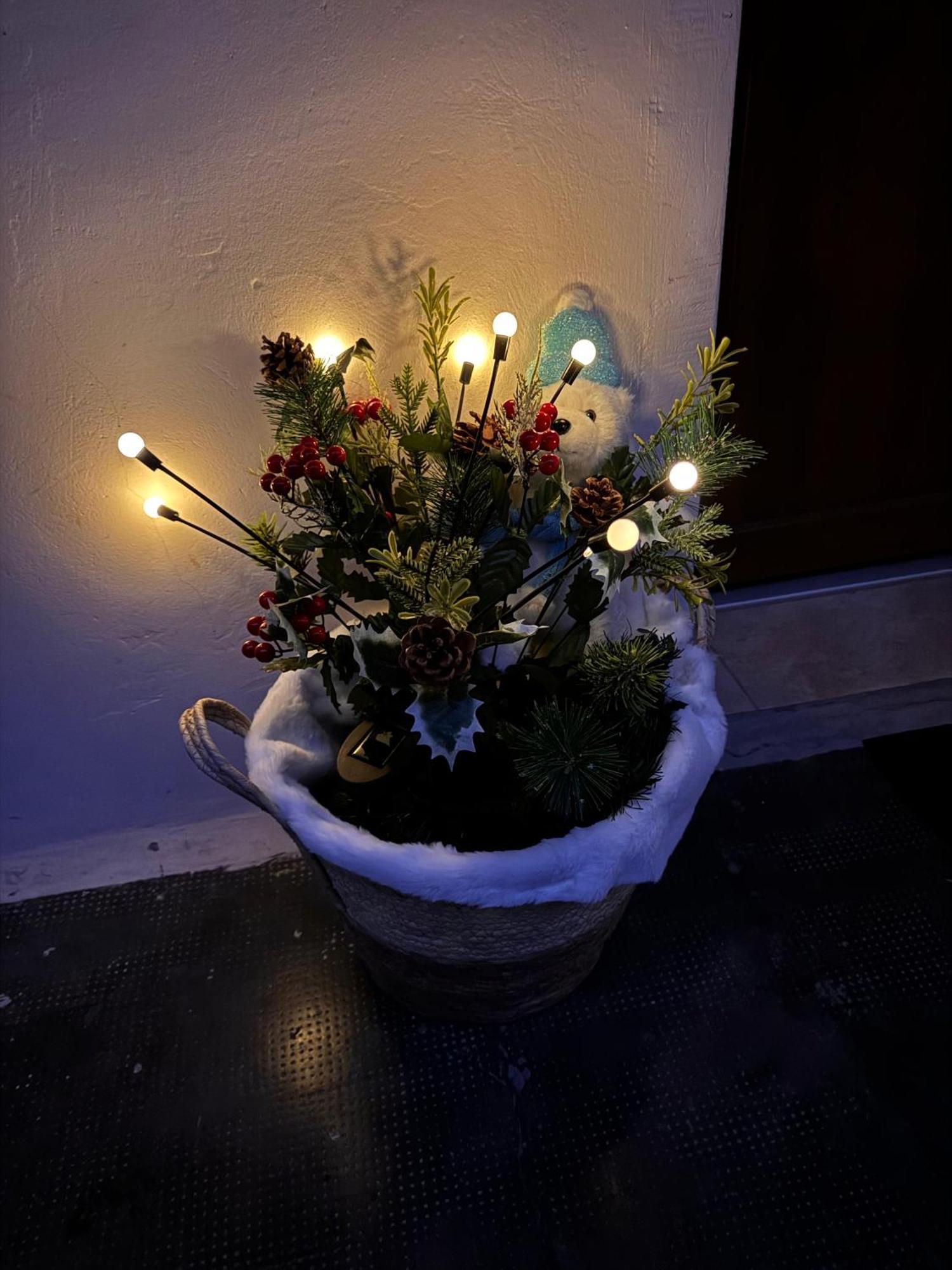 브라쇼브 Madalina'S House 아파트 외부 사진