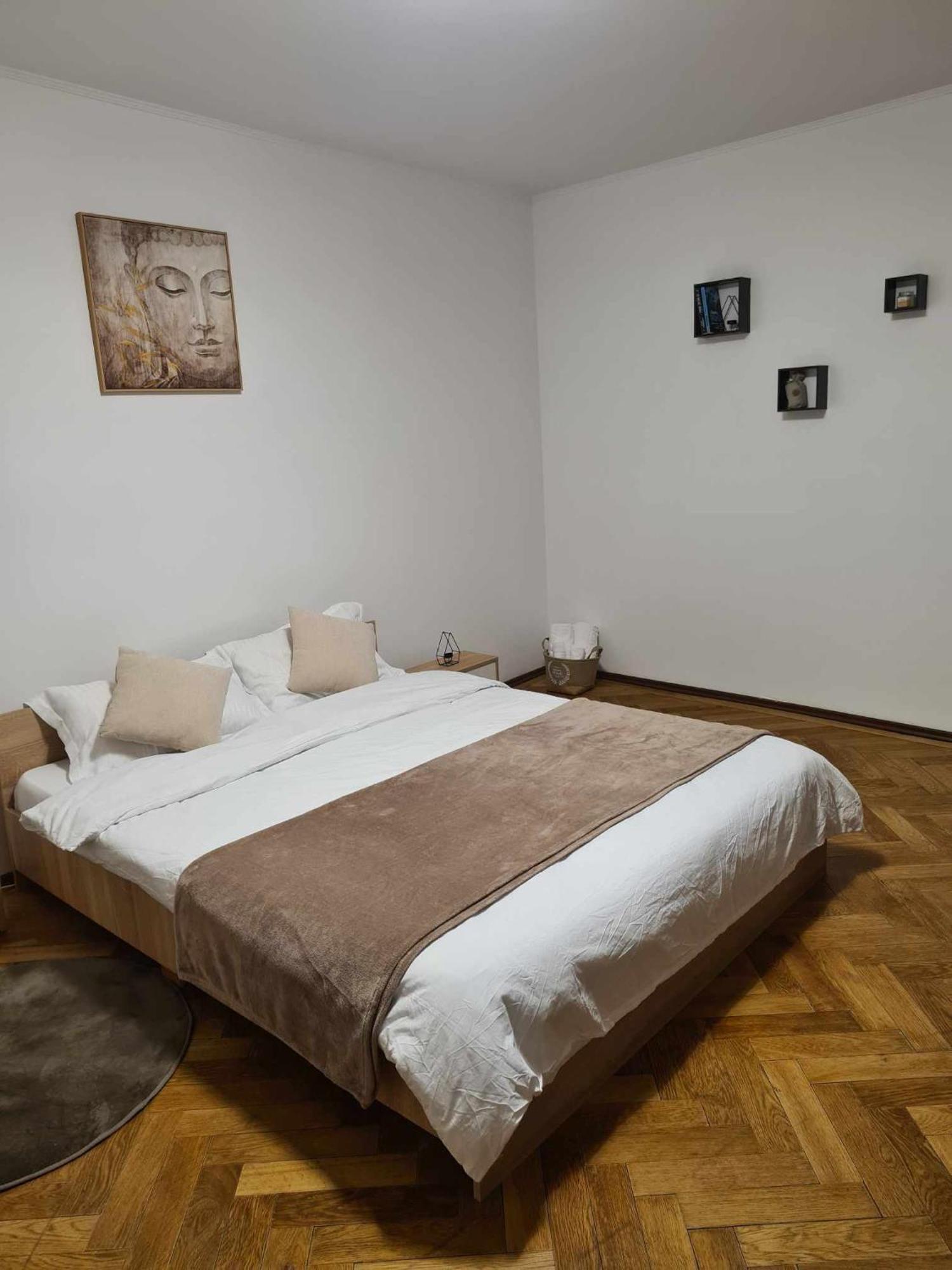 브라쇼브 Madalina'S House 아파트 외부 사진