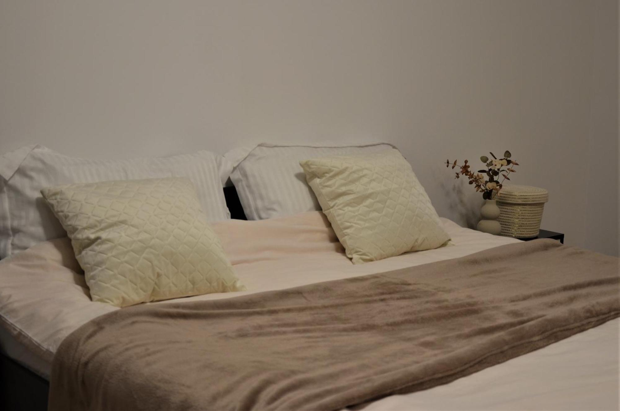 브라쇼브 Madalina'S House 아파트 외부 사진