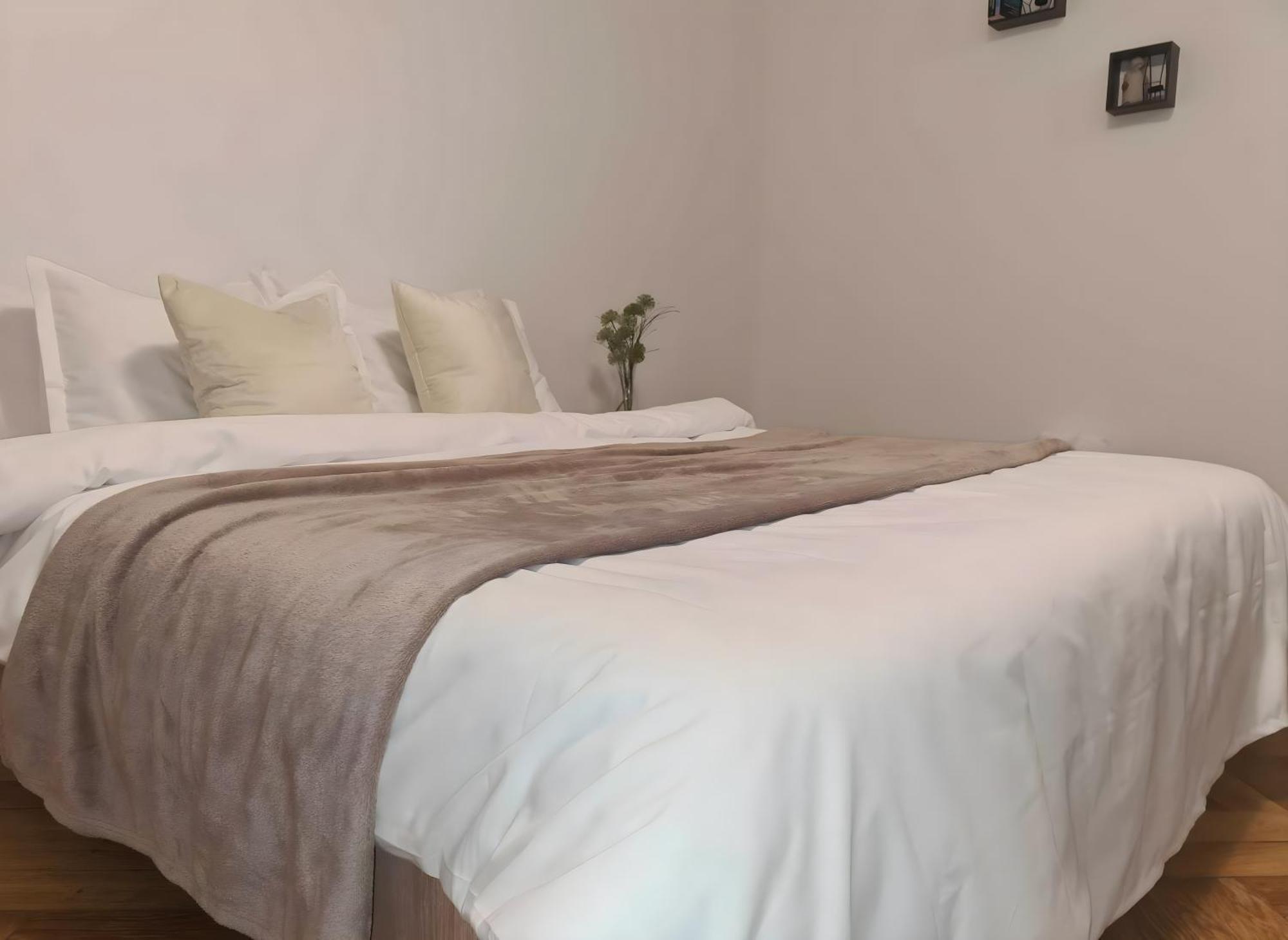 브라쇼브 Madalina'S House 아파트 외부 사진