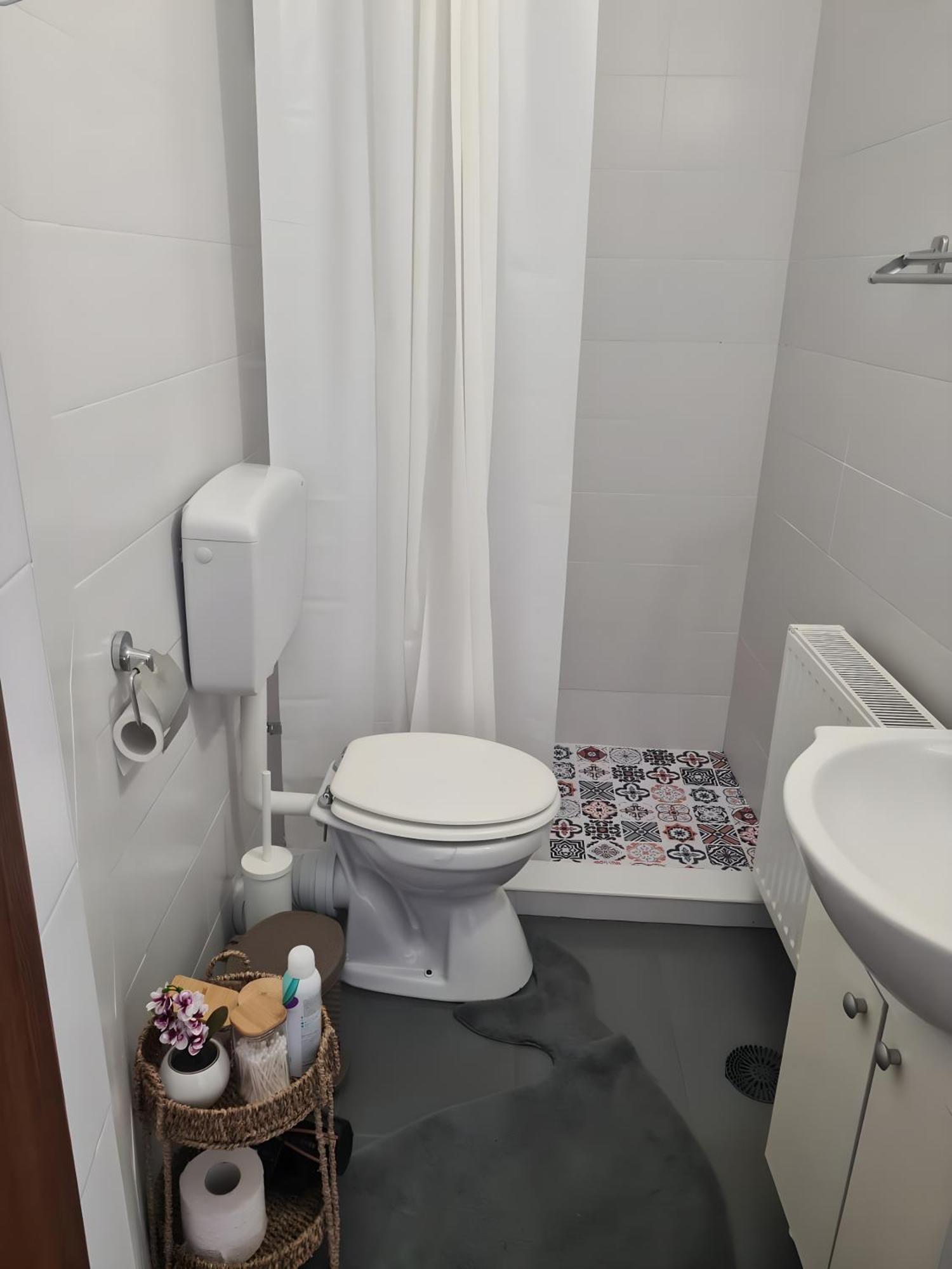 브라쇼브 Madalina'S House 아파트 외부 사진